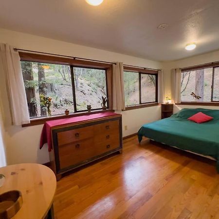 Little House In The Redwoods With A Hot Tub! Apartamento Garberville Exterior foto