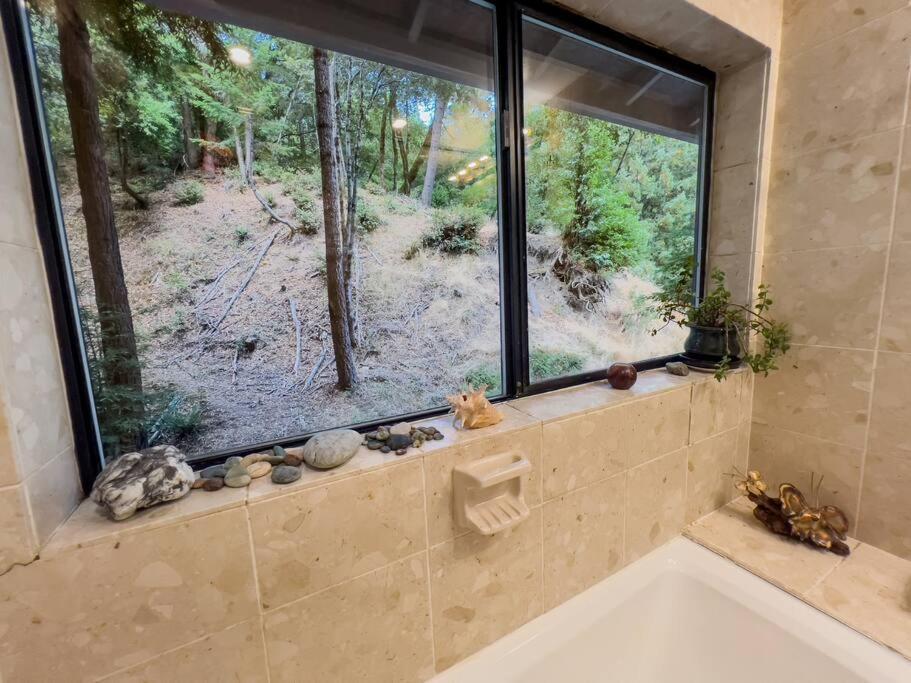 Little House In The Redwoods With A Hot Tub! Apartamento Garberville Exterior foto