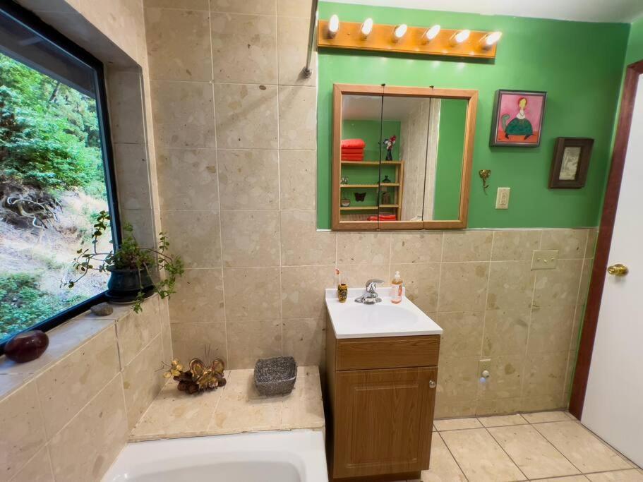 Little House In The Redwoods With A Hot Tub! Apartamento Garberville Exterior foto