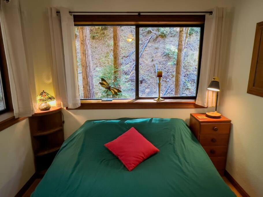 Little House In The Redwoods With A Hot Tub! Apartamento Garberville Exterior foto