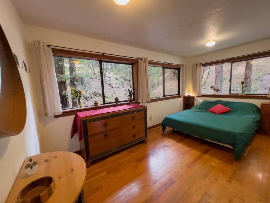 Little House In The Redwoods With A Hot Tub! Apartamento Garberville Exterior foto