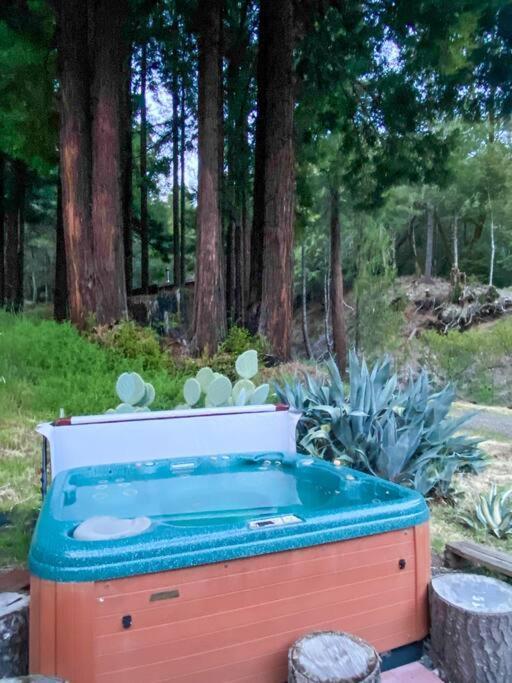 Little House In The Redwoods With A Hot Tub! Apartamento Garberville Exterior foto