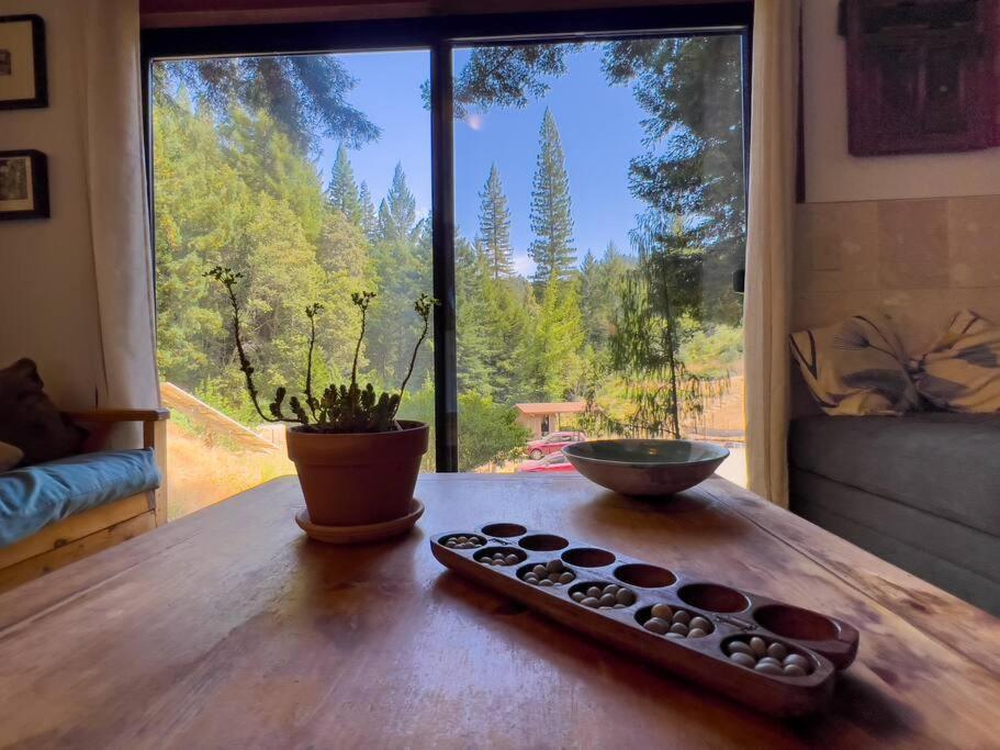 Little House In The Redwoods With A Hot Tub! Apartamento Garberville Exterior foto